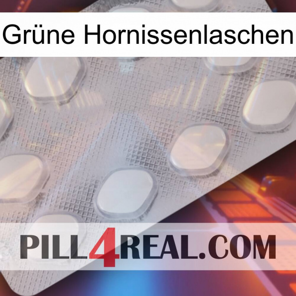 Grüne Hornissenlaschen 16